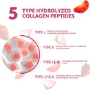collagen-gummies-for-women-hydrolyzed-co-4.jpg