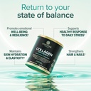 essential-nutrition-collagen-resilience--3.jpg