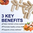 prostate-health-supplement-for-men-saw-p-3.jpg
