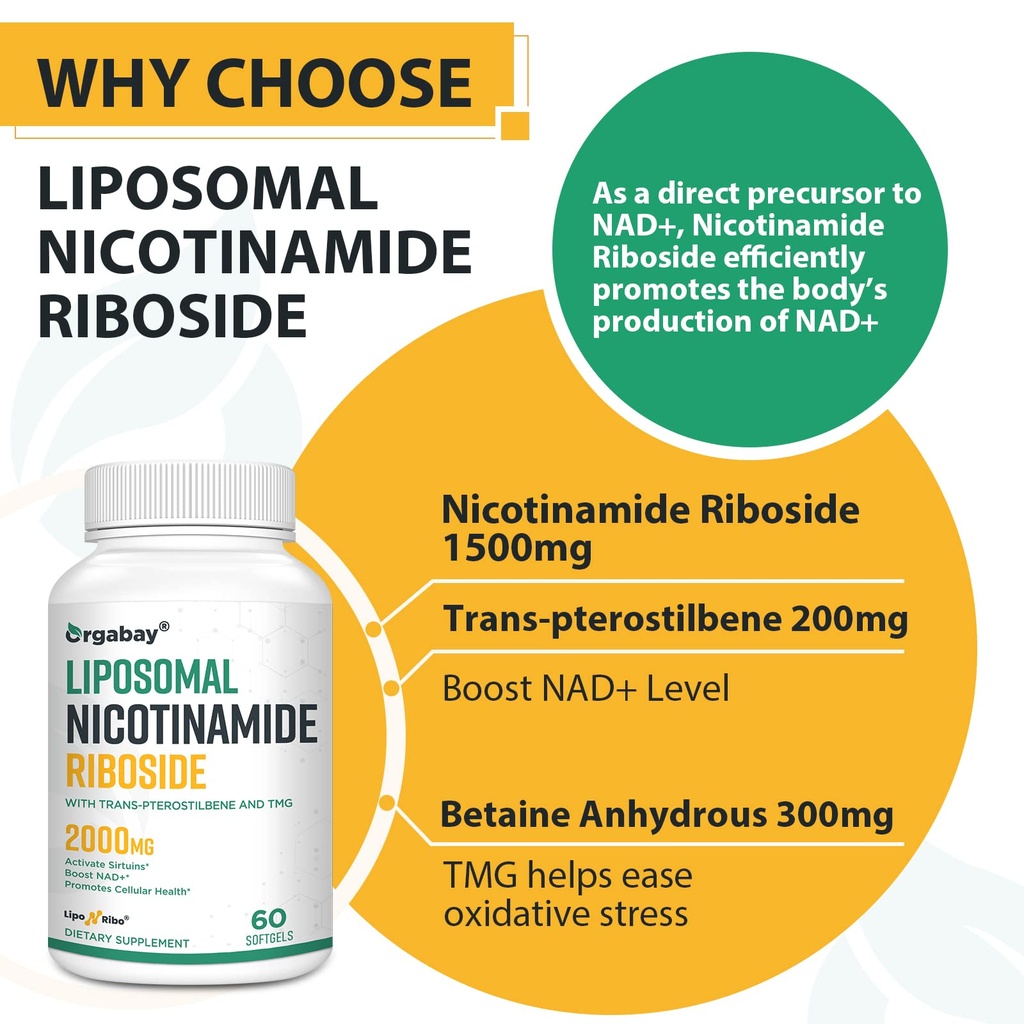 orgabay-liposomal-nicotinamide-riboside--5.jpg