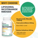 orgabay-liposomal-nicotinamide-riboside--5.jpg