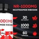 satoomi-nad-nicotinamide-riboside-nr-100-3.jpg