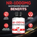 satoomi-nad-nicotinamide-riboside-nr-100-5.jpg