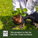 banyan-botanicals-organic-gotu-kola-noot-6.jpg