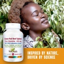 new-roots-herbal-grass-fed-beef-spleen-3-5.jpg