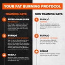 alpha-lion-stubborn-fat-loss-stack-super-6.jpg