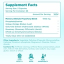 phosphatidylserine-nootropics-brain-supp-2.jpg