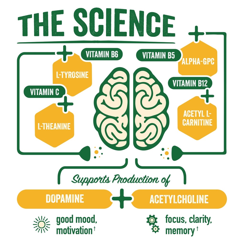 brainjuice-nootropics-brain-support-supp-3.jpg