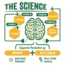 brainjuice-nootropics-brain-support-supp-3.jpg