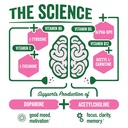 brainjuice-nootropics-brain-support-supp-3.jpg