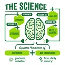 brainjuice-brain-support-shot-gluten-fre-3.jpg