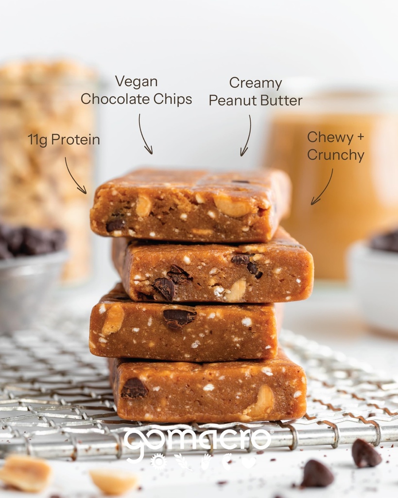 gomacro-macrobar-organic-vegan-protein-b-5.jpg