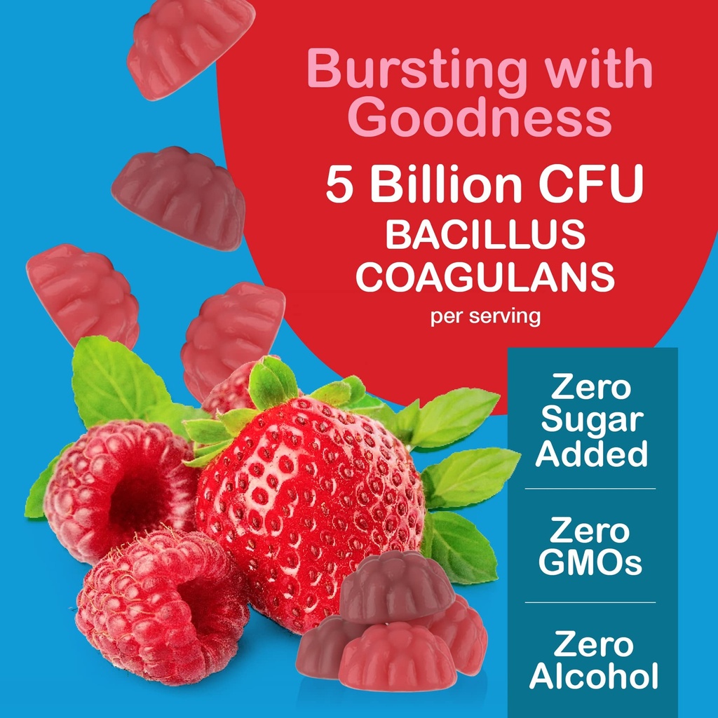 yum-v-s-sugar-free-probiotic-gummies-pro-3.jpg