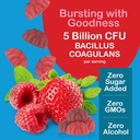 yum-v-s-sugar-free-probiotic-gummies-pro-3.jpg