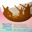 yum-v-s-sugar-free-probiotic-gummies-pro-4.jpg