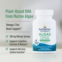 nordic-naturals-algae-dha-90-soft-gels-5-3.jpg