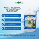 eidon-liquid-boron-drops-ionic-mineral-b-3.jpg