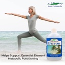 eidon-liquid-boron-drops-ionic-mineral-b-5.jpg