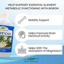 eidon-liquid-boron-drops-ionic-mineral-b-4.jpg