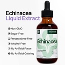echinacea-4-fl-oz-liquid-extract---organ-4.jpg