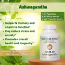 dr-clark-store-ashwagandha-supplement-65-3.jpg
