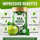 biovit-sea-moss-gummies---wildcrafted-ir-4.jpg
