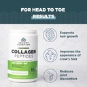 ancient-nutrition-vegetarian-collagen-pe-3.jpg