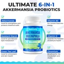 akkermansia-probiotic-live-strain-probio-4.jpg