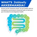 akkermansia-probiotic-live-strain-probio-6.jpg