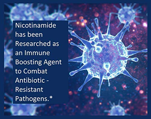 200-count-b3-nicotinamide-500-mg-effecti-4.jpg