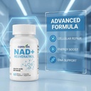 liposomal-nad-complex-500mg-contains-nic-4.jpg