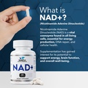 nad-supplement-for-anti-aging-and-cell-r-4.jpg