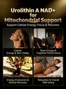 urolithin-a-supplement-with-liposomal-na-2.jpg