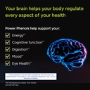 gundry-md-power-phenols-brain-health-sup-3.jpg