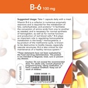 now-vitamin-b-6-100mg-250-capsules-pack--3.jpg