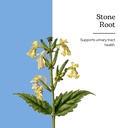 eclectic-institute-stone-root-o-2-ounce-2.jpg