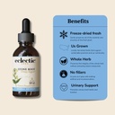 eclectic-institute-stone-root-o-2-ounce-3.jpg