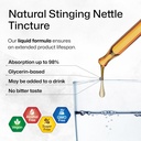 bio-krauter-stinging-nettle-for-seasonal-4.jpg
