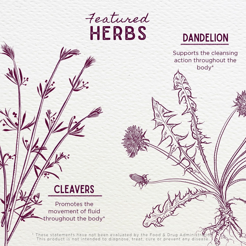wishgarden-herbs-urinary-strength-liquid-4.jpg