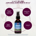 wishgarden-herbs-urinary-strength-liquid-3.jpg
