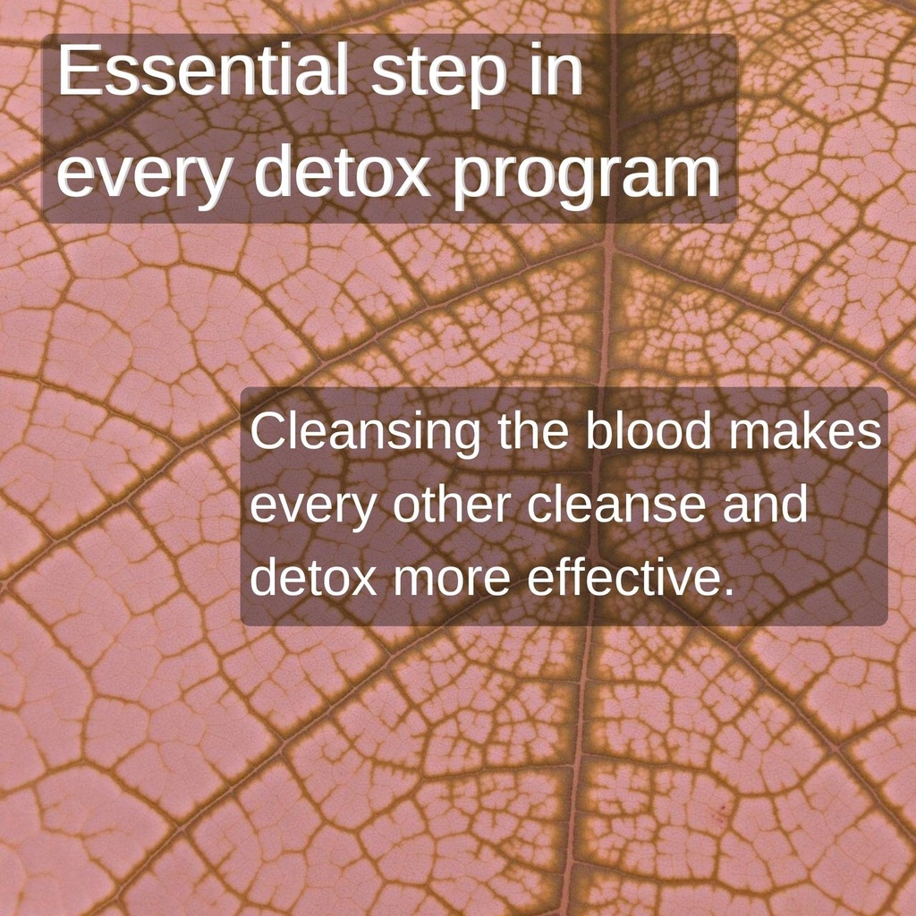 speedyvite-blood-lifeboost-tea-cleanses--6.jpg