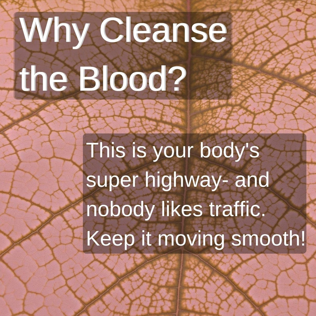 speedyvite-blood-lifeboost-tea-cleanses--5.jpg