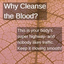 speedyvite-blood-lifeboost-tea-cleanses--5.jpg