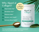 algaecal-calcium-vitamin-d3-collagen-bun-3.jpg