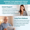 brain-supplements-for-memory-and-focus-2-6.jpg