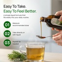 hubner-tannenblut-herbal-preparation-hon-5.jpg