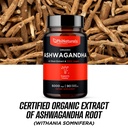 phinaturals-organic-ashwagandha-root-ext-6.jpg