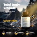 clinical-mitochondrial-complex-shilajit--2.jpg