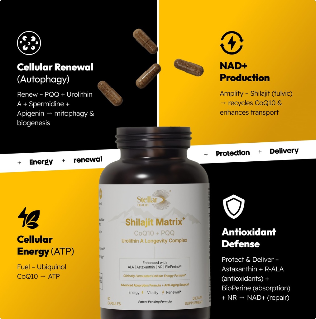 clinical-mitochondrial-complex-shilajit--3.jpg
