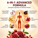 urolithin-a-supplement-with-liposomal-na-3.jpg